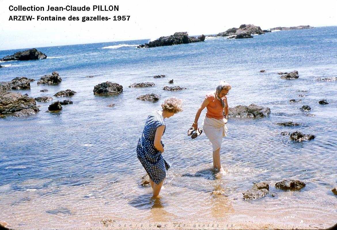 Oran- SDV- 4552- Pillon.jpg
